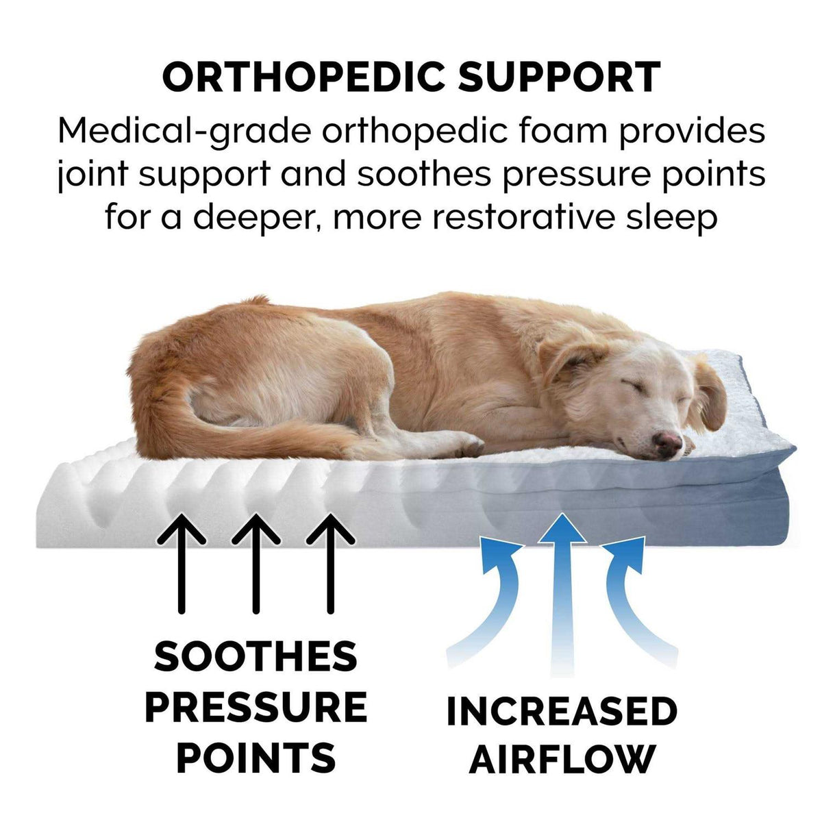 Mink Fur & Suede Pillow-Top Orthopedic Dog Bed G59755