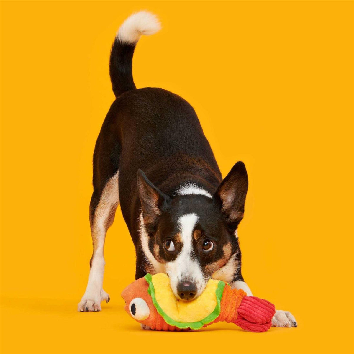 Shrimp Taco Dog Toy M789