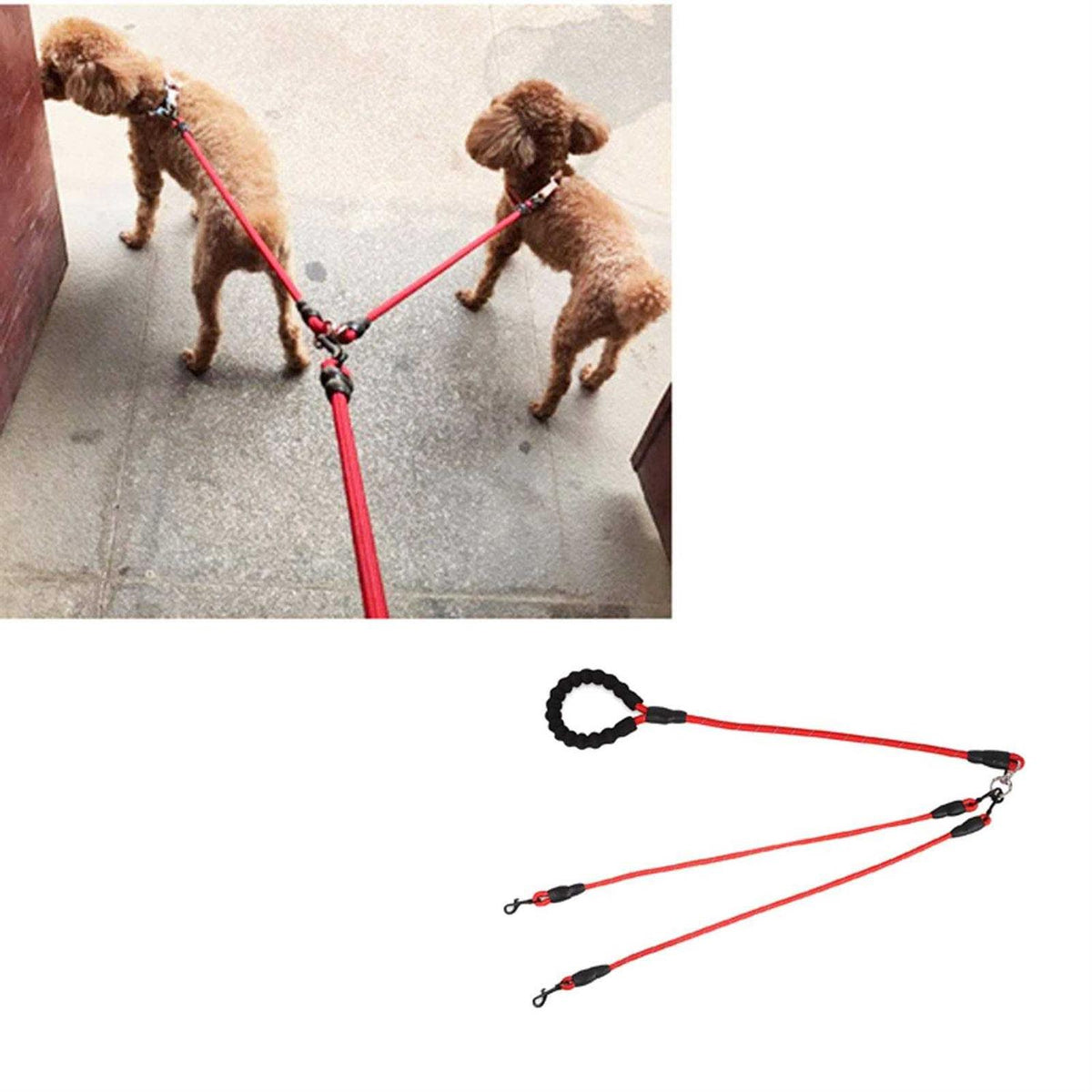 Nylon No Tangle Dog Leash R627128