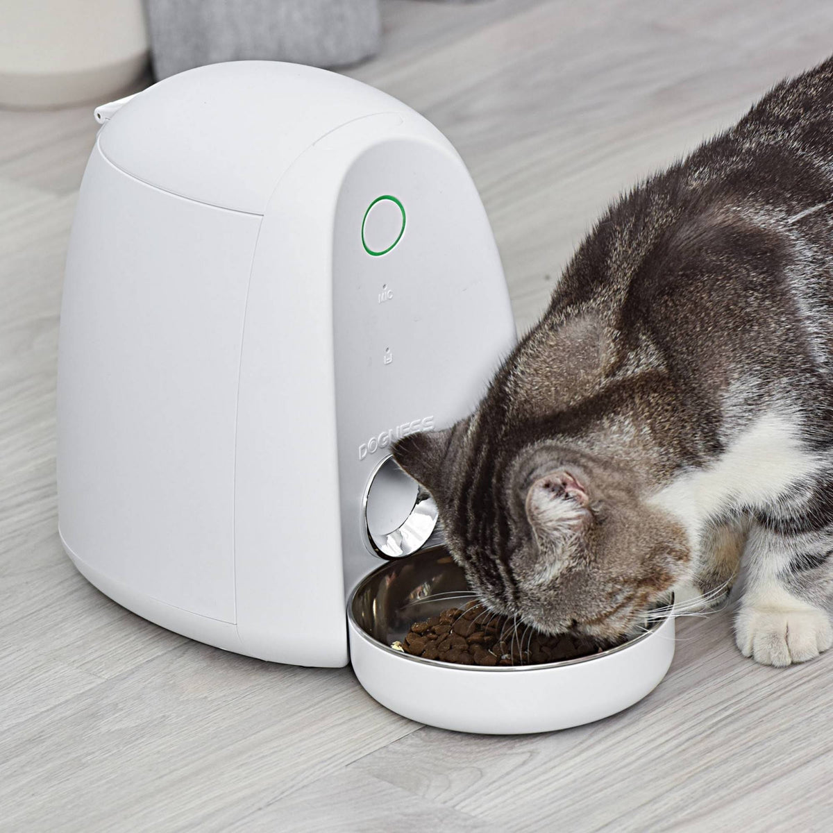 White Automatic Pet Feeder N329594