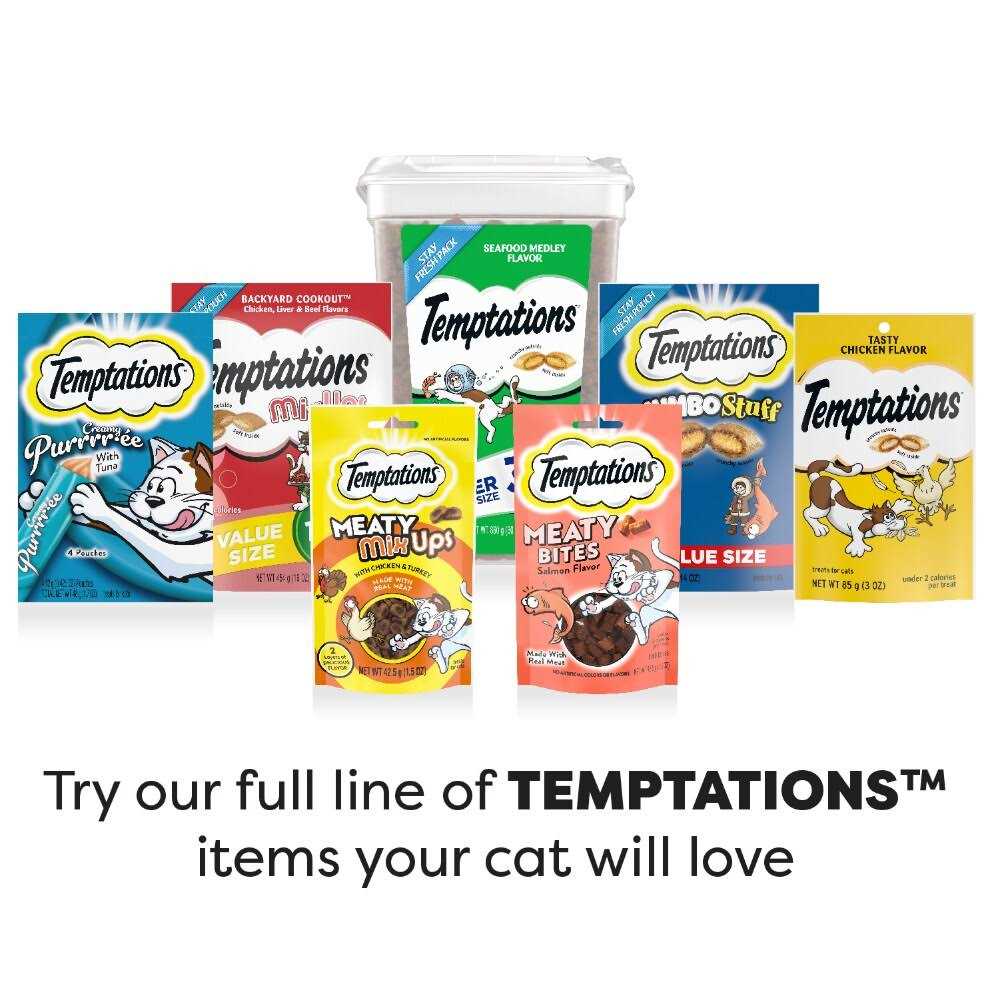 Catnip Flavor Cat Treats H95905
