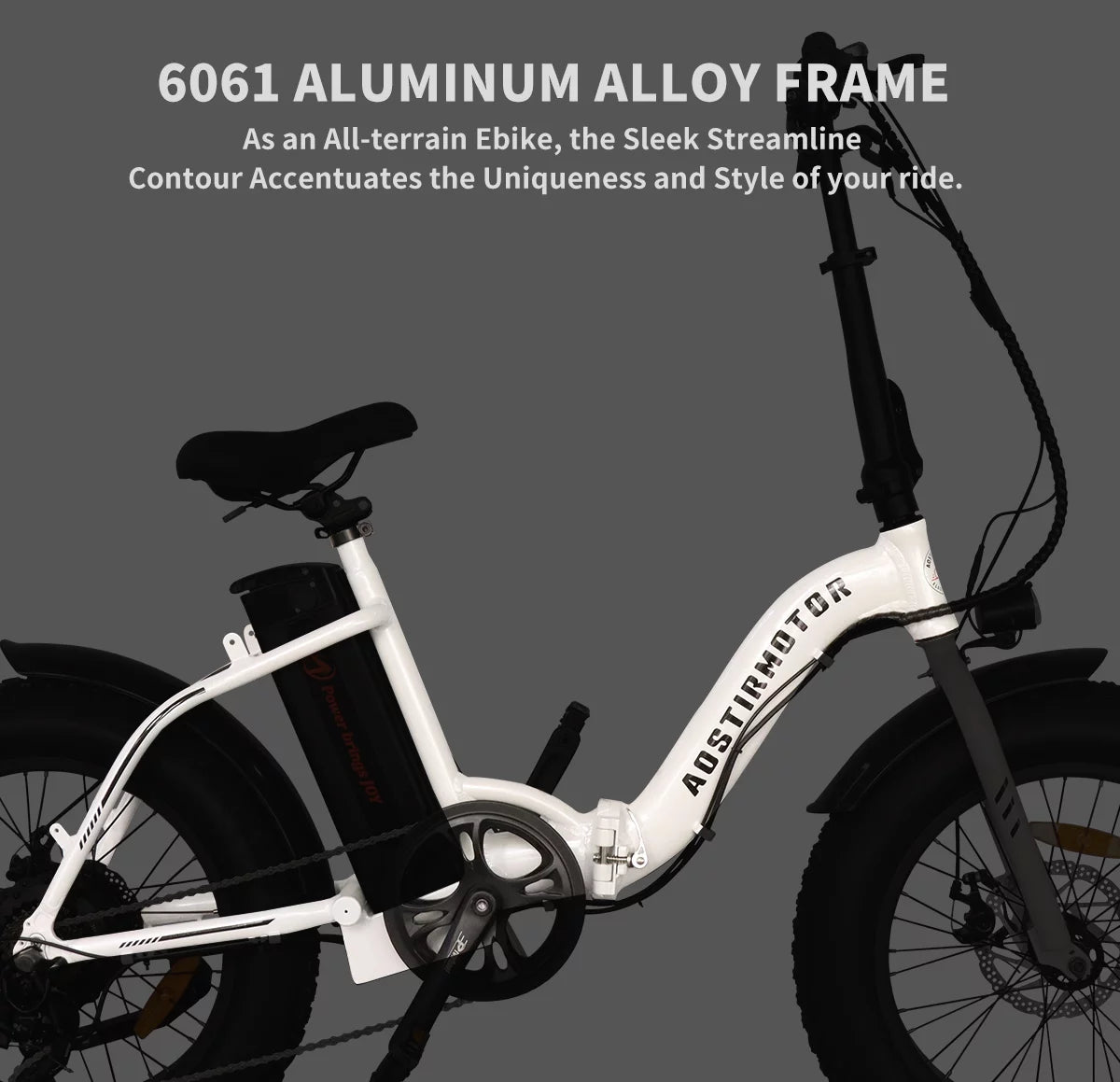 Folding Electric Bike 20 inch Fat Tire 500W 36V 13AH D54162