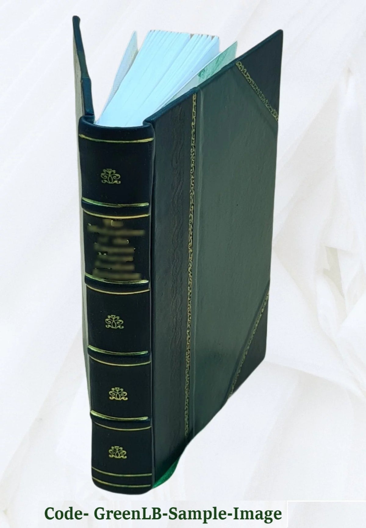 Old Paris Social Historical Literary Associations H8463