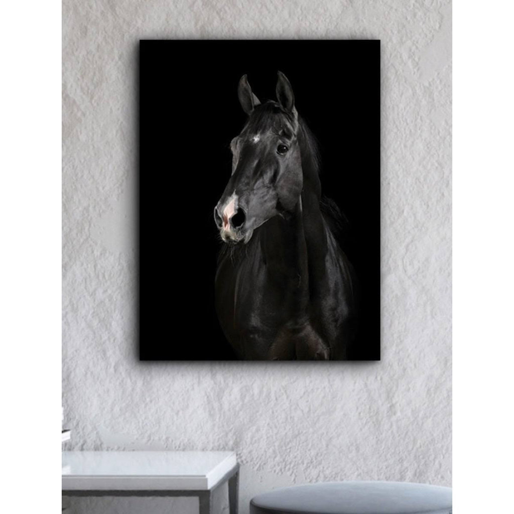 Black Horse Face Canvas Art 30 x 40 in. C91410