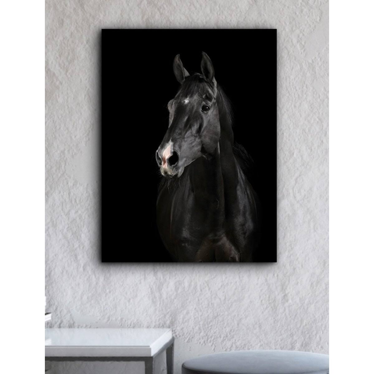 Black Horse Face Canvas Art 30 x 40 in. C91410